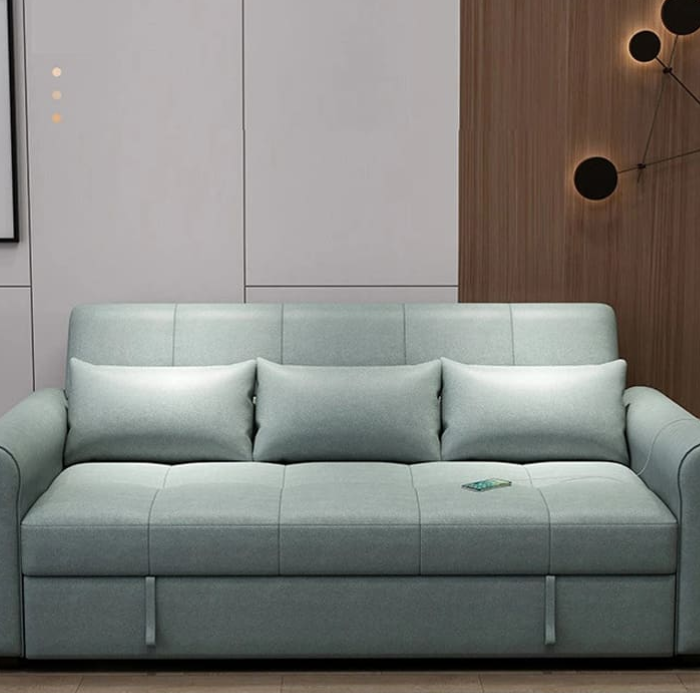 Customizable Dino Sofa Cum Bed